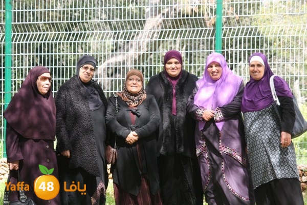 re7la7efa483 (50).JPG